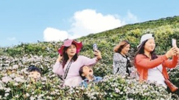 十年统计分析 出行时间增多 中国人旅游需求越来越强