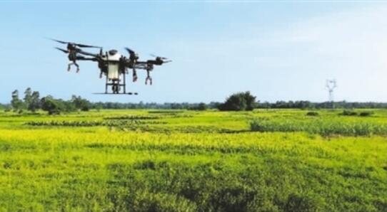 装上“智慧大脑” 农民变身“码农”