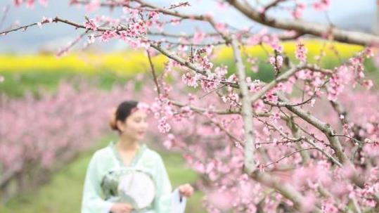 汉服热升温衍生大产业：消费人群超过200万人