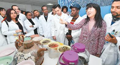 “一带一路”让中医药机遇无限