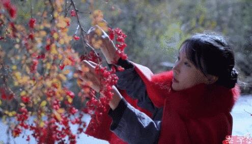 对话李子柒:“我觉得我做了件挺有意义的事”