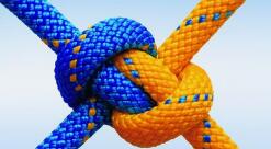 唯有团结,人类方能战胜病毒