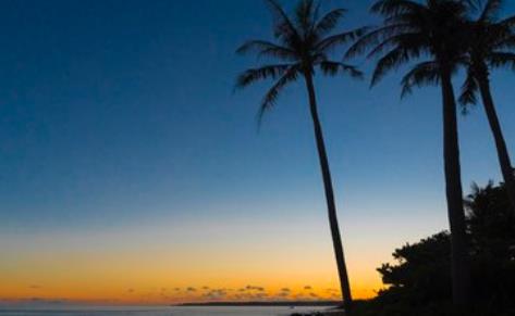 彻头彻尾的伪命题与充斥谎言的政治操弄——权威专家评别有用心者炒作“台湾参加世卫大会”