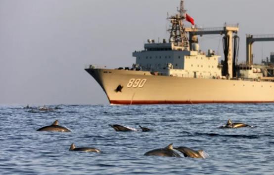 海豚伴航中国军舰，画面太美！