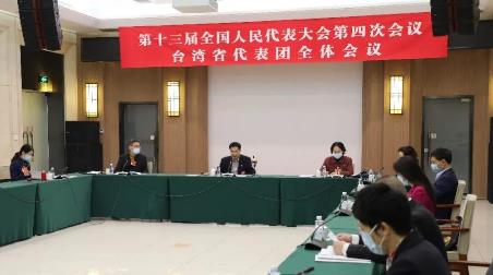 聚焦两会 | 台湾省全国人大代表团审议政府工作报告
