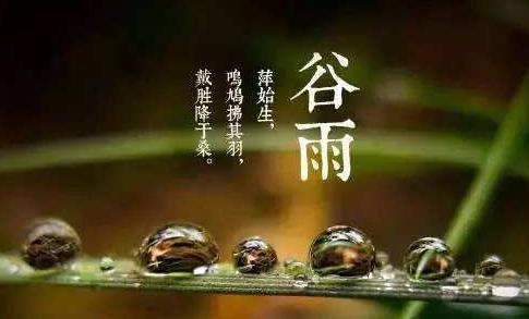 中国传统节日之谷雨