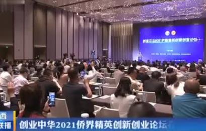 创业中华2021侨界精英创新创业论坛在西安举行 李卓彬徐新荣出席并致辞