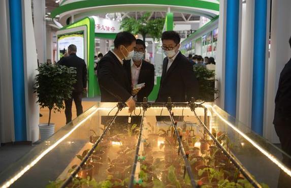 第28届中国杨凌农高会：飞入“云端”也更接地气 以农为媒“朋友圈”不断扩大