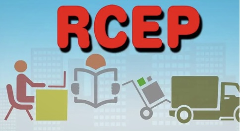 陕西首份RCEP原产地证书签发