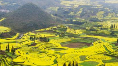 “十四五”行业发展规划指明方向——以创新驱动重塑旅游业