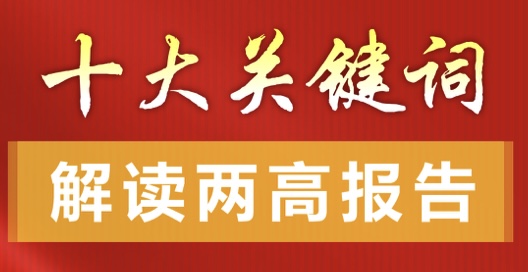十大关键词解读两高报告