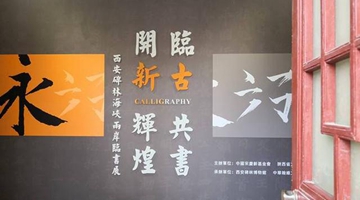 两岸书法爱好者共临西安碑林名碑刻帖