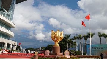 传承五四精神 香港青年金紫荆广场观升旗礼