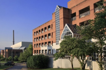 习近平回信勉励南京大学留学归国青年学者 在坚持立德树人推动科技自立自强上再创佳绩 在坚定文化自信讲好中国故事上争做表率