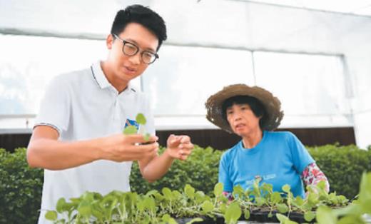 大湾区崛起世界级城市群