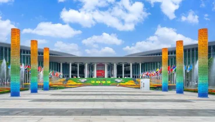 “进博磁力”越来越强