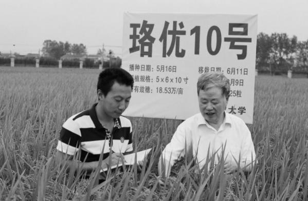中国“红莲稻”助力“一带一路”国家农业发展