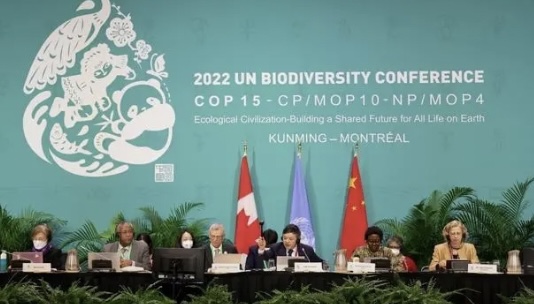 联合国生物多样性大会主要成果盘点