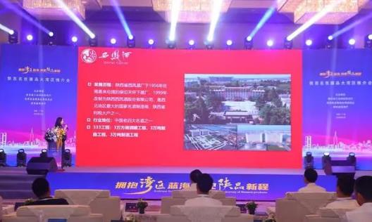 陕西名优臻品大湾区推介会在广州举办