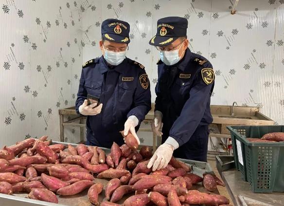 11月贸易规模创月度历史新高 中越经贸合作亮点纷呈