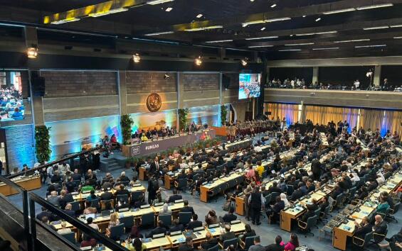 第六届联合国环境大会开幕