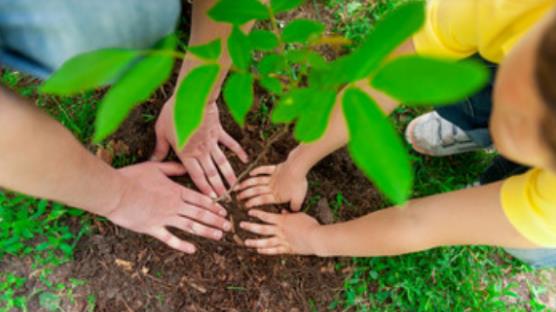 让更多绿色拥抱春天——写在我国第46个植树节到来之际