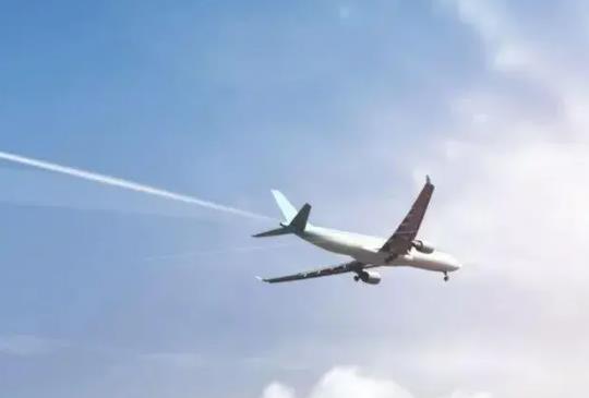 留学安全呈新态势 专家、留学生支招提升防范意识