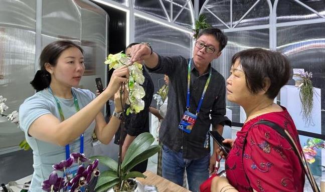 台湾花卉业者参加成都世园会 盼增加两岸产业合作