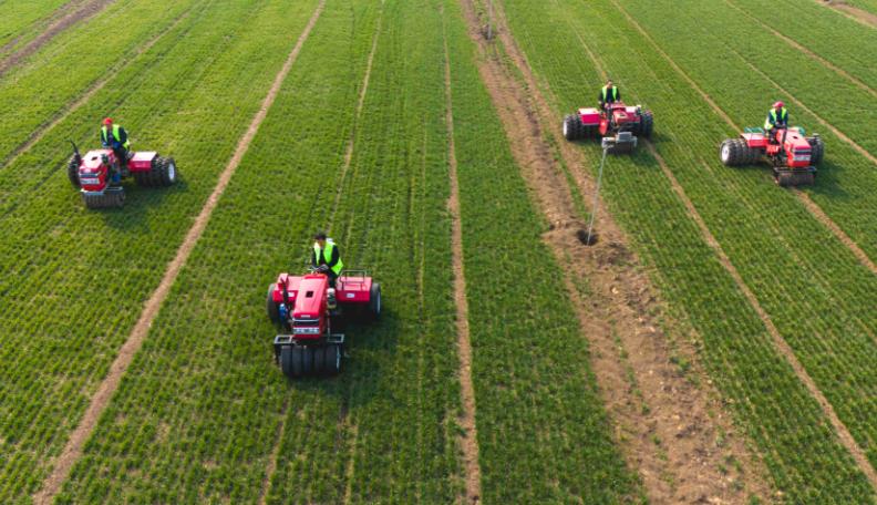 科技赋能全产业链 从春耕看“农业新质生产力”