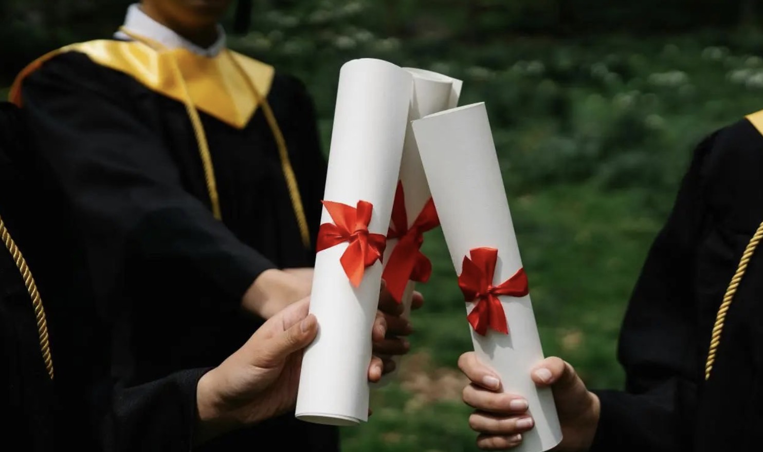 2025，留学新动态