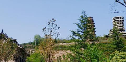 台盟陕西省委会：深挖台湾光复致敬团历史文化资源