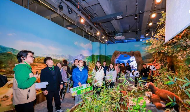 台湾青年打卡福州熊猫世界 再续两岸熊猫情缘