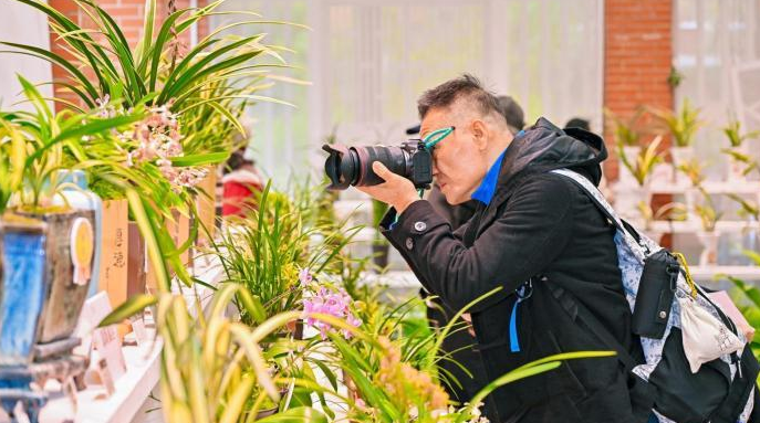 粤港澳大湾区兰花精品展销汇在广州开幕