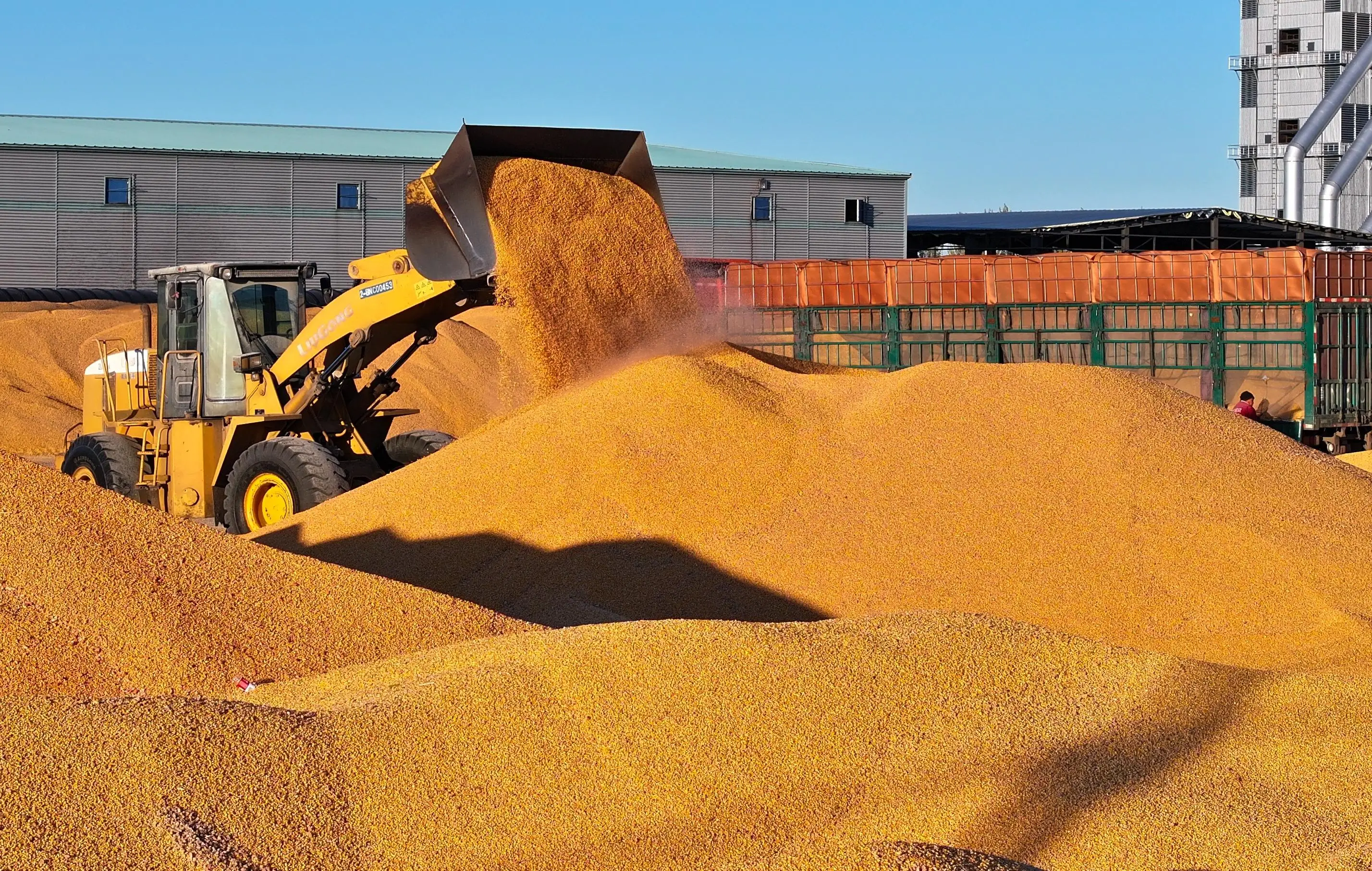 连续两年超1.4万亿斤 2025年粮食产量达1.43万亿斤