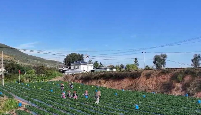 我国将继续推动农业发展全面绿色转型