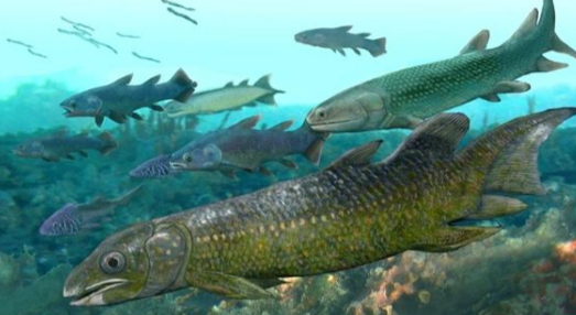 我国发现4.38亿年前新属种鱼化石