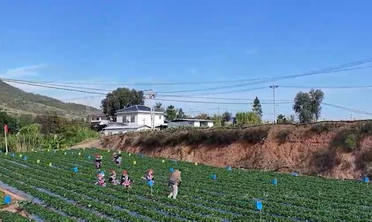 我国将继续推动农业发展全面绿色转型