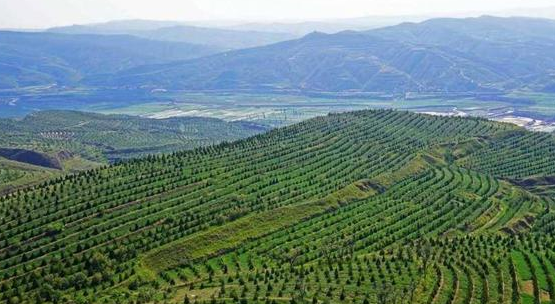 我国林草覆盖率超56%