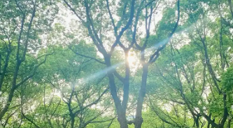 打造风险减量前置服务体系 鼎和保险挺进甘肃酒泉“沙戈荒”开展保前风险查勘