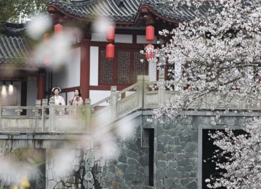 中国游客兴起Color Walk 用色彩“收藏”春天