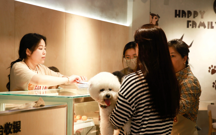 宠物经济成新增长点 业界探讨规范发展新路径