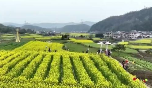 卫星+AI助力摸清“家底” 第四次全国农业普查全面实施