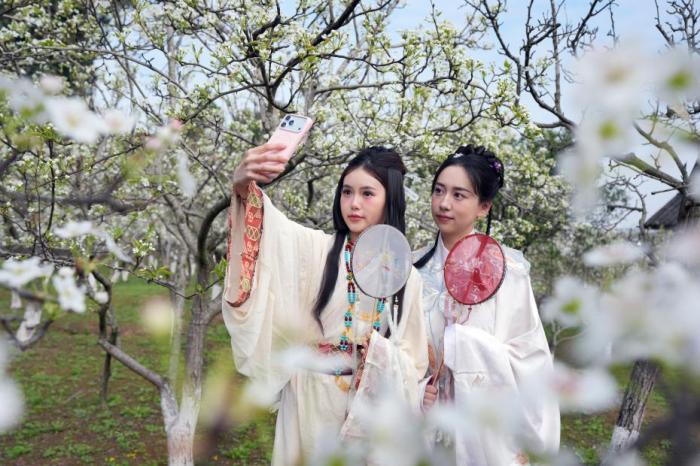 赏花经济靠什么“常开不败”