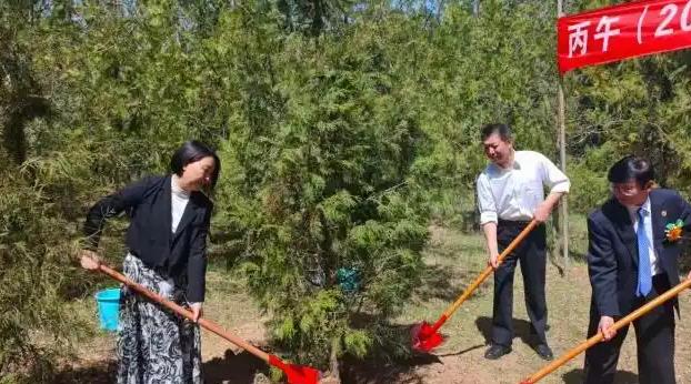 海内外中华儿女代表在桥山植柏