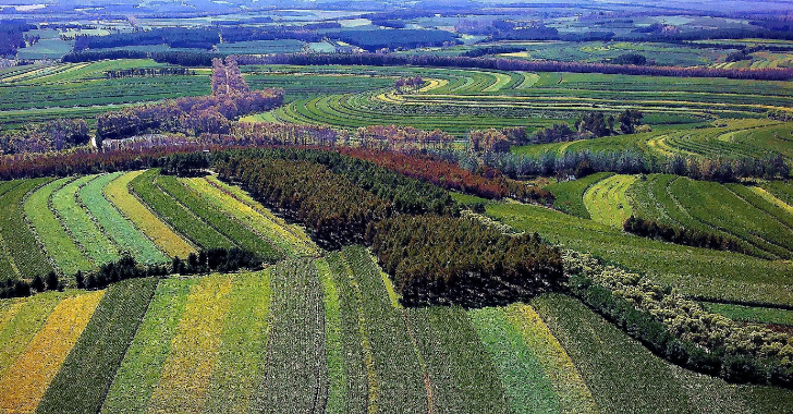 我国特色食品产区达450余个 特色农产品变身优势产业