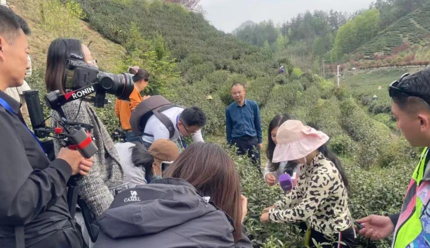 “山乡花开·秦岭有约”两岸新媒体乡村振兴直播活动走进陕西省商南县