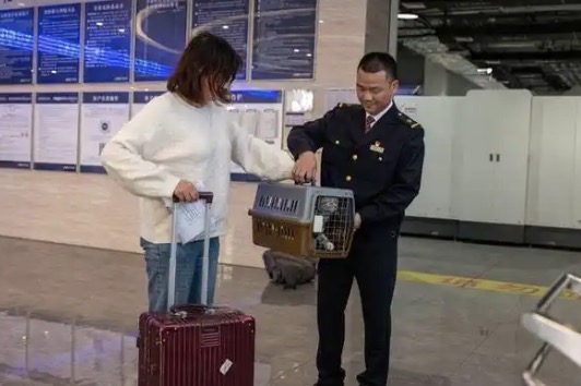 高铁宠物托运再升级 “爱宠行”服务4月8日起上线