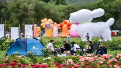 “入境游2.0时代”：外国游客有了新偏好与新需求