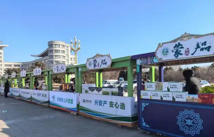 出海又出圈，中国好物融入全球日常