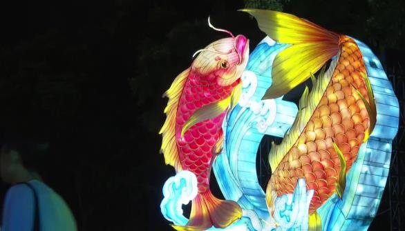香港“国际中秋彩灯汇”亮灯